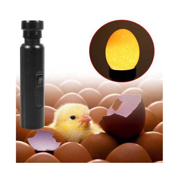 Au Plug Egg Candler Lamp Led Cool Light Chicken