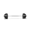 Barbell With Plates Set 60 Kg