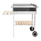 Xxl Trolley Charcoal Bbq Grill Stainless Steel With 2 Shelves