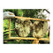 5Kg Organic Pure Australian Beeswax Natural Blocks Unrefined Skin Wax
