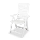 Reclining Garden Chairs 2 Pcs Plastic