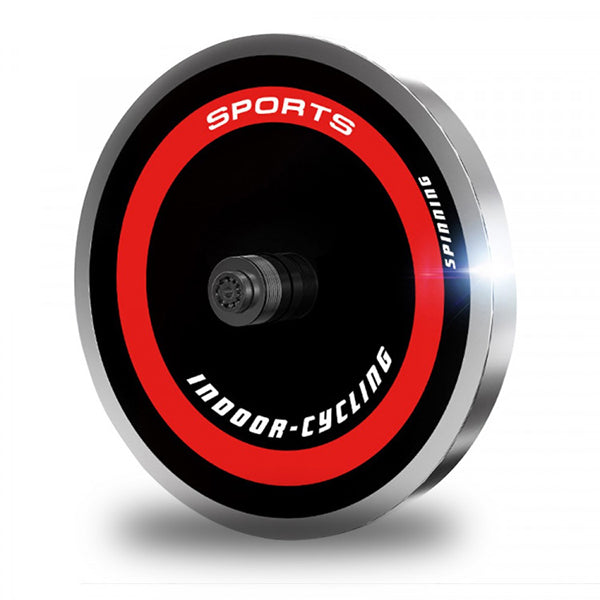 Heavy Flywheel Exercise Spin Bike Is500