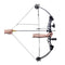 Adult Compound Bow With Accessories And Fiberglass Arrows