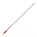 Adult Compound Bow With Accessories And Fiberglass Arrows