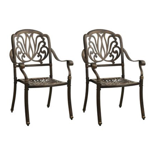 Garden Chairs 2 Pcs Cast Aluminium Bronze
