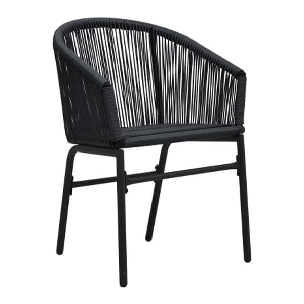 Garden Chairs 2 Pcs Black Pvc Rattan