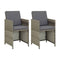 Garden Chairs 2 Pcs With Cushions Grey Poly Rattan