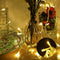 800 Led Curtain Fairy String Lights Wedding Outdoor Xmas Party Lights Warm White