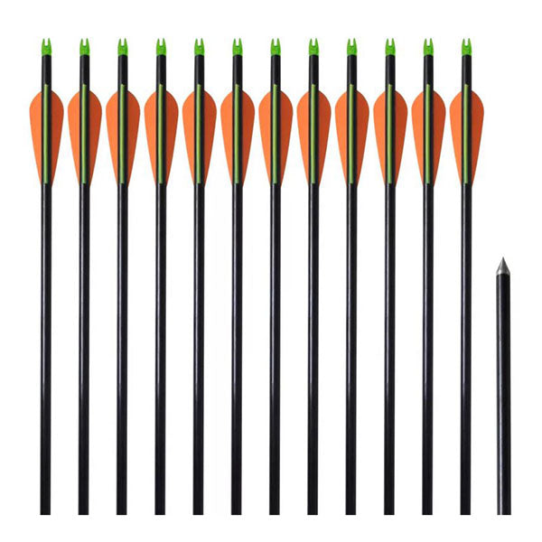 Standard Compound Bow Arrows 30 Inches Fiberglass 12 Pcs