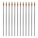 Standard Compound Bow Arrows 30 Inches Fiberglass 12 Pcs