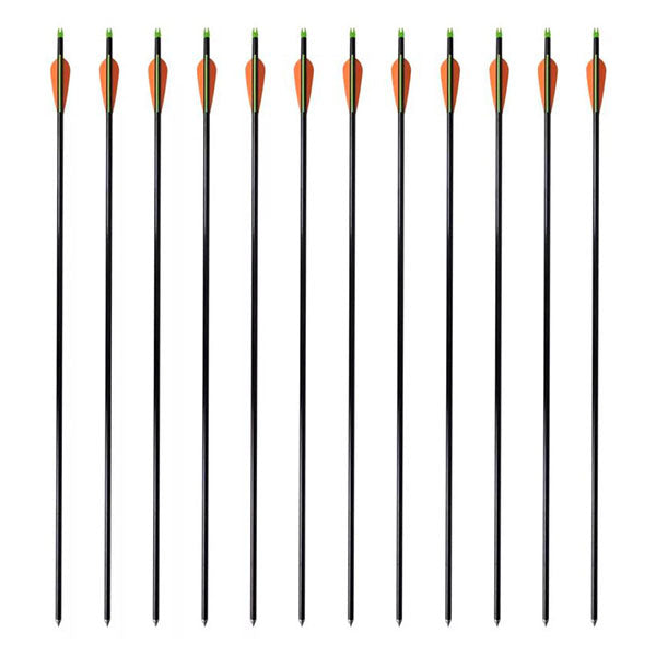Standard Compound Bow Arrows 30 Inches Fiberglass 12 Pcs