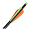 Standard Compound Bow Arrows 30 Inches Fiberglass 12 Pcs