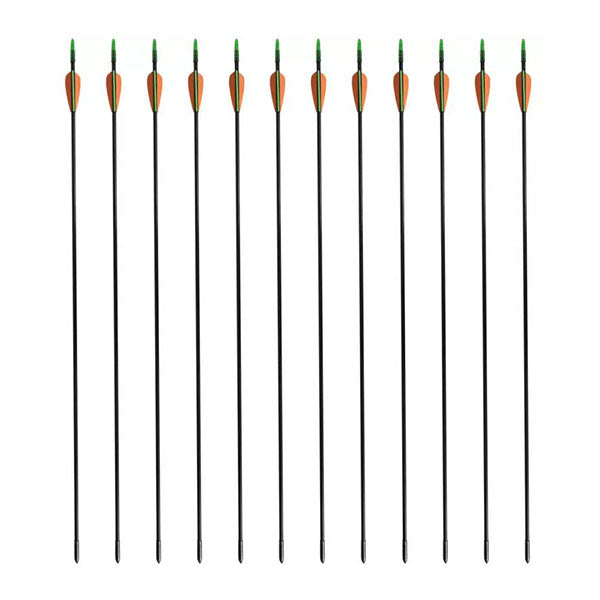 Standard Recurve Bow Arrows 30 Inches 40 Lb Fiberglass 12 Pcs