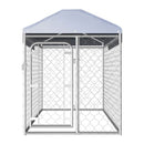 Outdoor Dog Kennel With Roof 200X100X125 Cm