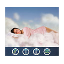 700Gsm All Season Goose Down Feather Filling Duvet In Queen Size