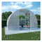 Greenhouse With Steel Foundation 300X150X200 Cm