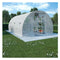 Greenhouse With Steel Foundation 450X300X200 Cm
