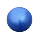 Morgan Gym Ball 65 cm