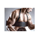 Bicep Curl Arm Bodybuilding Aid
