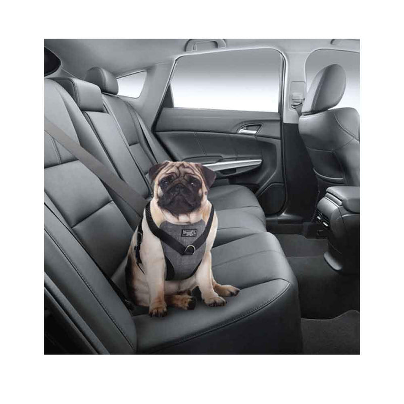 Four paws safety seat harness outlet