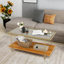 2 Tier Rectangular Coffee Table With Gold Steel Frame Storage Shelf
