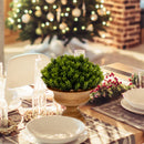 4 Set Artificial Mini Greenery Potted Plant for Home and Office Round shape