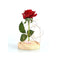 Rose Flower In Glass Cover Led Light Lamp
