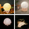 3D Magical Moon Lamp Usb Led Night Light Moonlight Touch Sensor 20Cm Diameter