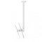 Atdec Telehook 30 To 70 Ceiling Mount Tilt Long White