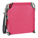 Sun Lounger With Canopy Steel