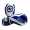 Morgan V2 Zulu Warrior Sparring Gloves Blue