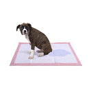 Pawz 100 Pcs 60X60 Cm Pet Puppy Toilet Training Pads Absorbent Lavender Scent
