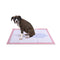 Pawz 100 Pcs 60X60 Cm Pet Puppy Toilet Training Pads Absorbent Lavender Scent