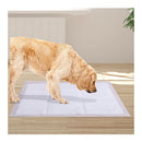 Pawz 100 Pcs 60X60 Cm Pet Puppy Dog Toilet Training Pads Absorbent Meadow Scent