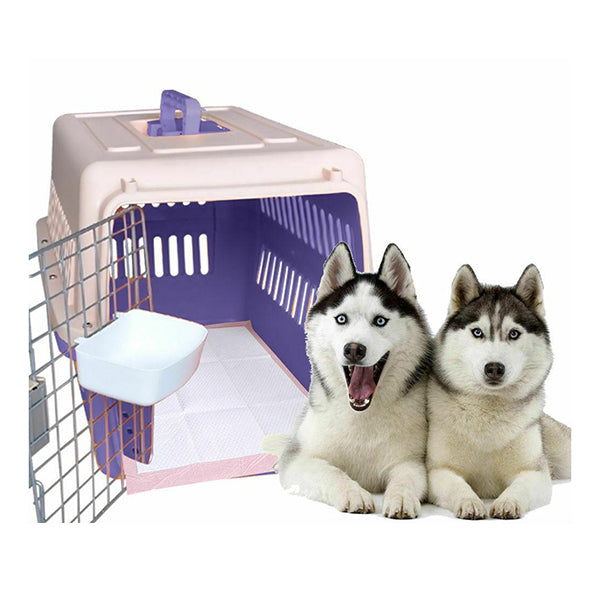 Pawz 400 Pcs 60X60 Cm Pet Puppy Toilet Training Pads Absorbent Lavender Scent