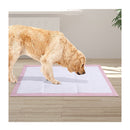 Pawz 400 Pcs 60X60 Cm Pet Puppy Toilet Training Pads Absorbent Lavender Scent