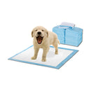 Pawz 100 Pcs 60X60Cm Puppy Pet Indoor Toilet Training Pads