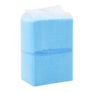 Pet Training Pads 100 Pcs 45X33 Cm Non Woven Fabric
