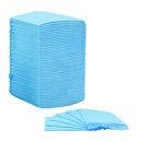 Pet Training Pads 100 Pcs 45X33 Cm Non Woven Fabric