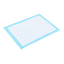 Pet Training Pads 100 Pcs 45X33 Cm Non Woven Fabric