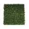 Premium Natural Buxus Hedge Panels Uv Resistant 1M X 1M