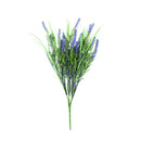 Long Stem Purple Lavender Plant 50 Cm Uv Resistant