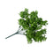 Vivid Green Wide Eucalyptus Plant 32 Cm Uv Resistant