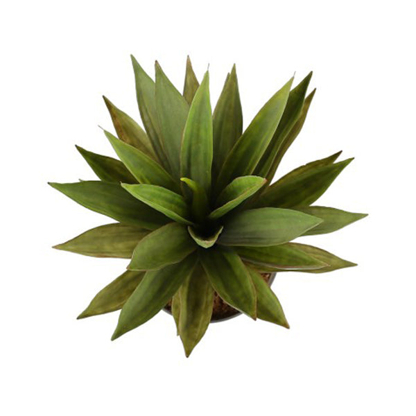 Artificial Dense Potted Aloe Vera Plant 50 Cm