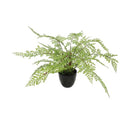 Faux Small Potted Fern 35 Cm