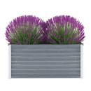 Garden Planter Galvanized Steel 100X40X45 Cm
