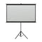 Projection Screen 50 Inch With Tripod