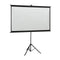 Projection Screen 60 Inch With Tripod