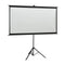 Projection Screen 120 Inch With Tripod