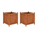 Raised Beds 2 Pcs 50X50X50 Cm Firwood
